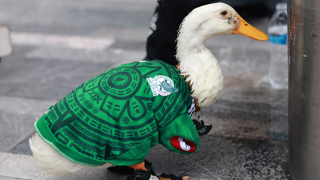 El Pato Merlín, embajador de la FIFA para el Mundial 2026